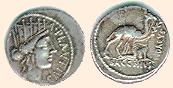 Plautius denarius