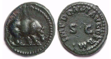 Domitian as Augustus, AD 81 to 96. Bronze quadrans with a rhinoceros.